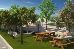 WhatsApp Image 2023-10-13 at 11.46.39