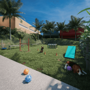 uploads_arquivos_pet-place-primeclube-uberlandia