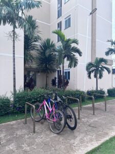 WhatsApp Image 2025-10-30 at 14.15.58